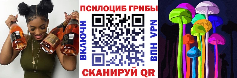 Купить закладки  Гай  Псилоцибиновые грибы мухоморы 